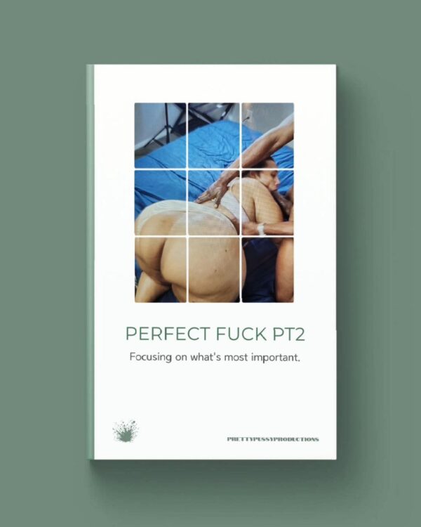 PERFECT FUCK PT!